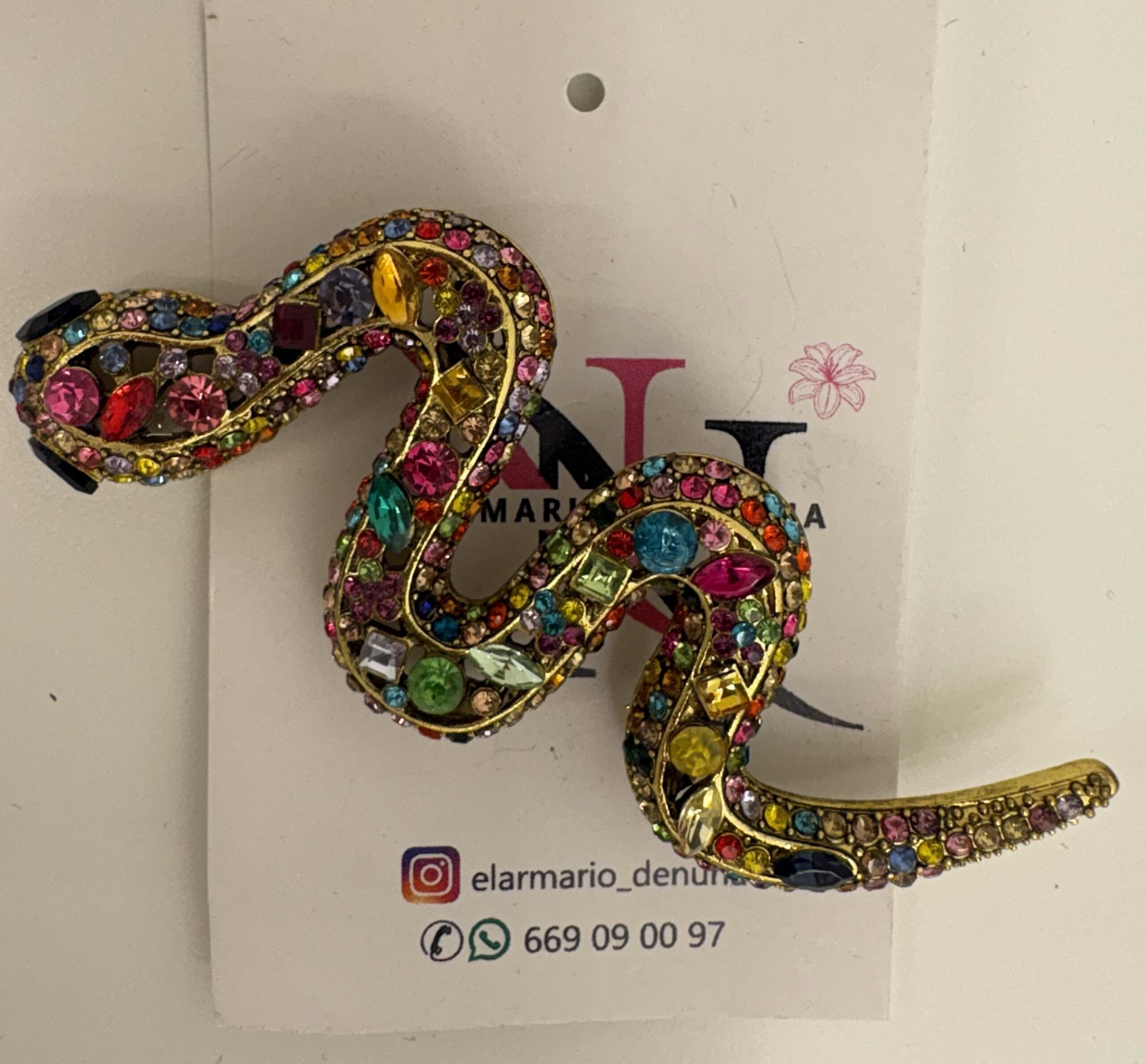 img_5015 broche serpiente multicolor